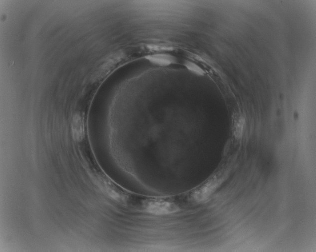 X0000062850471200601131354