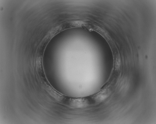 X0000062850473200601131354