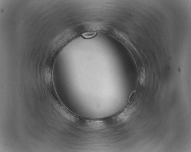 X0000062850476200601131354