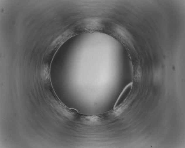 X0000062850478200601131354