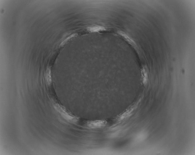 X0000062850479200601131354