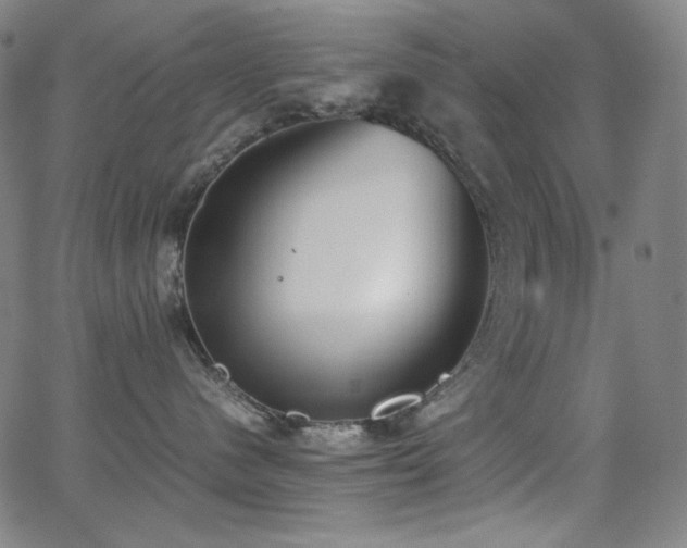 X0000062850480200601131354