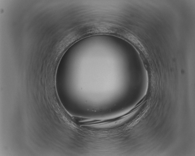 X0000062850481200601131354