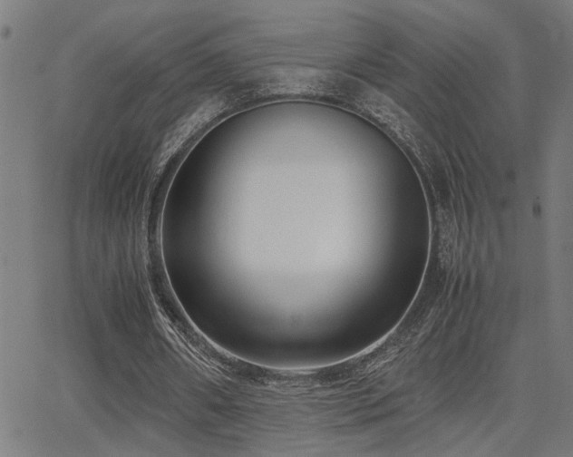 X0000062850482200601131354