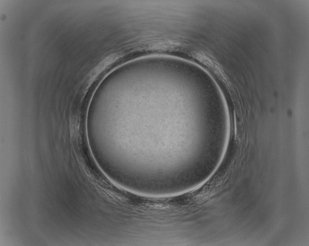 X0000062850483200601131354