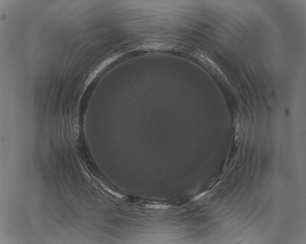 X0000062850484200601131354