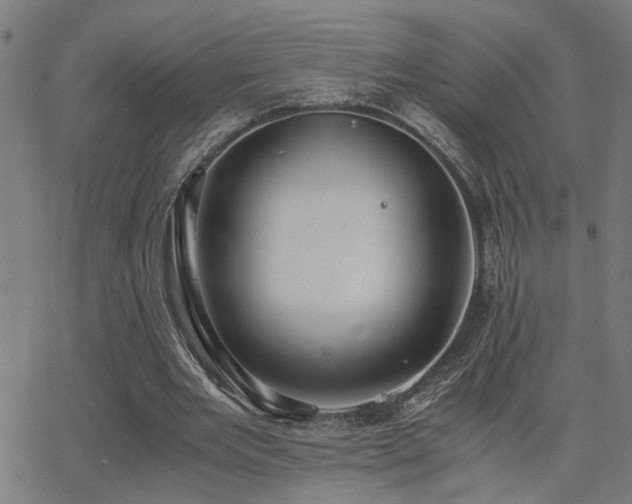 X0000062850485200601131353