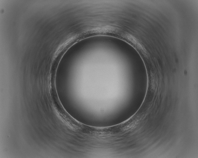 X0000062850486200601131353