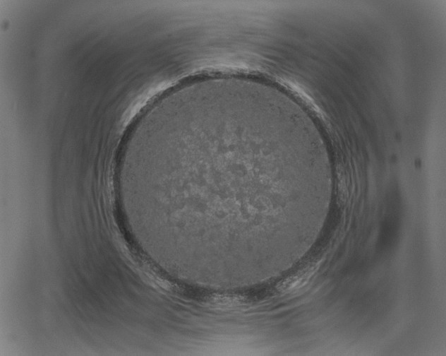 X0000062850487200601131353