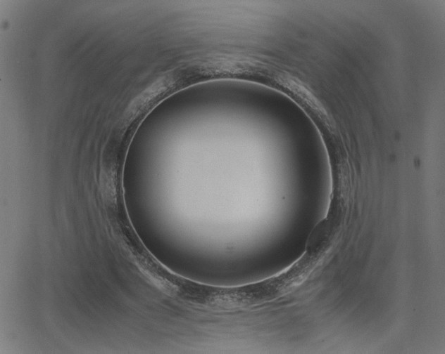 X0000062850489200601131353