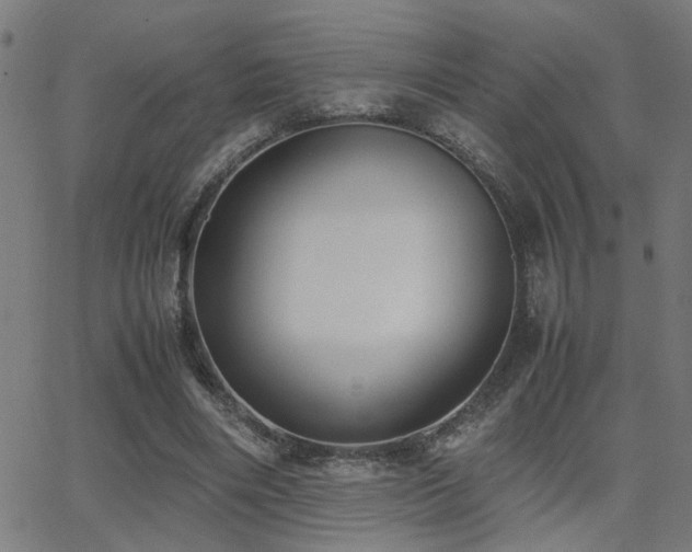 X0000062850490200601131353