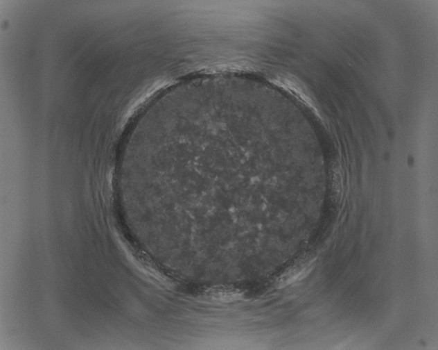 X0000062850491200601131353