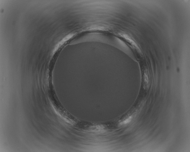 X0000062850492200601131353