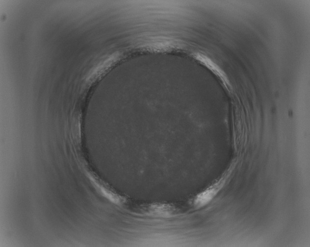 X0000062850493200601131353