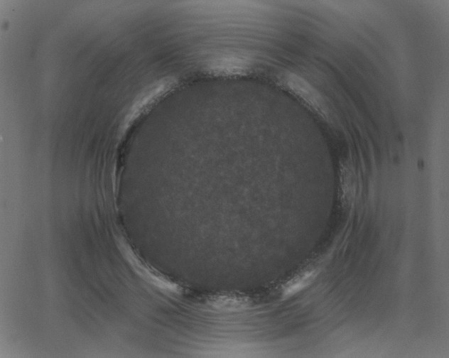 X0000062850494200601131353