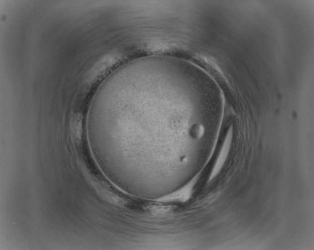 X0000062850495200601131353