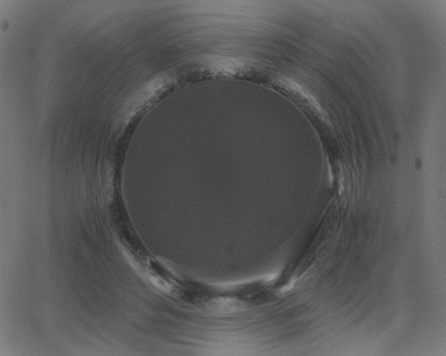 X0000062850496200601131353