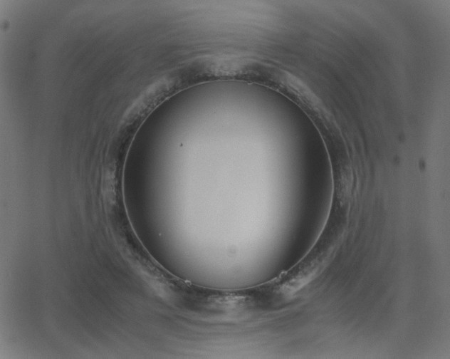 X0000062850497200601131353