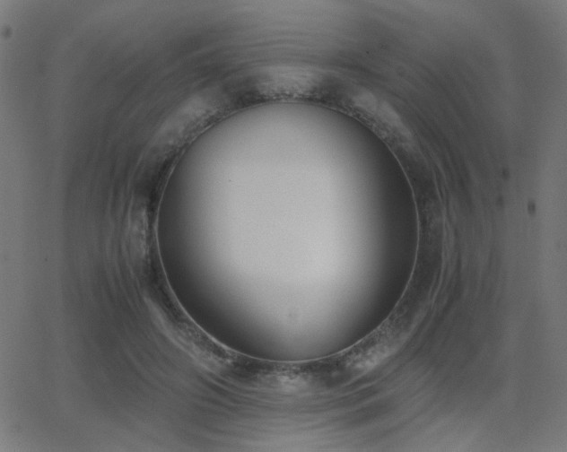 X0000062850498200601131353