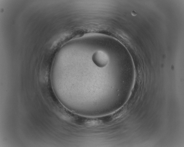 X0000062850499200601131353