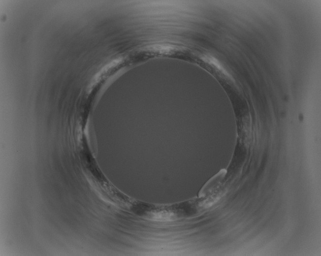 X0000062850500200601131353