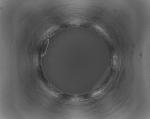 X0000062850504200601131353