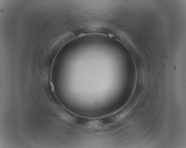 X0000062850505200601131353