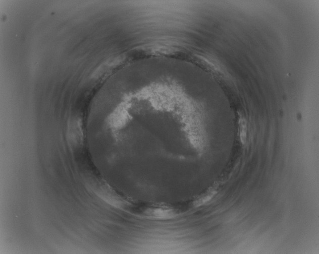 X0000062850506200601131353