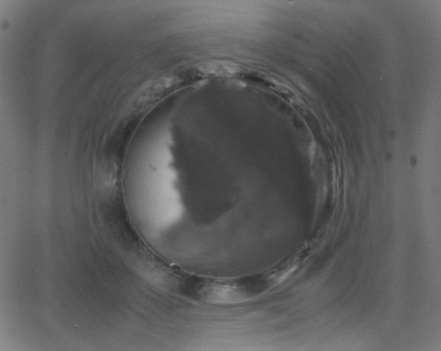 X0000062850507200601131353