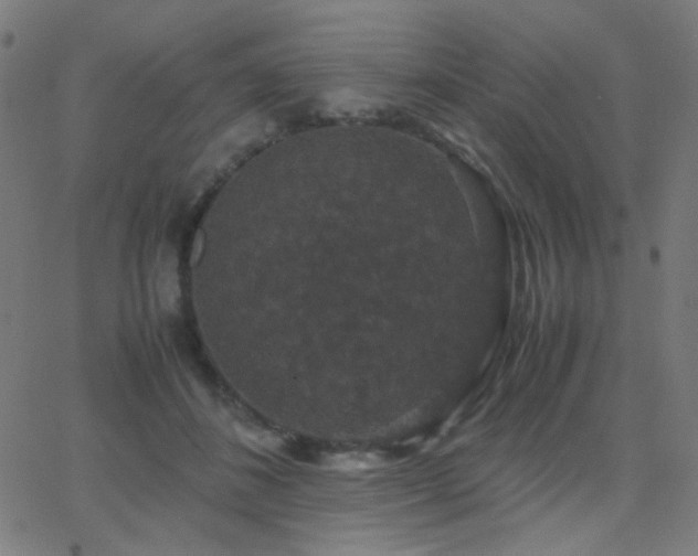 X0000062850508200601131353