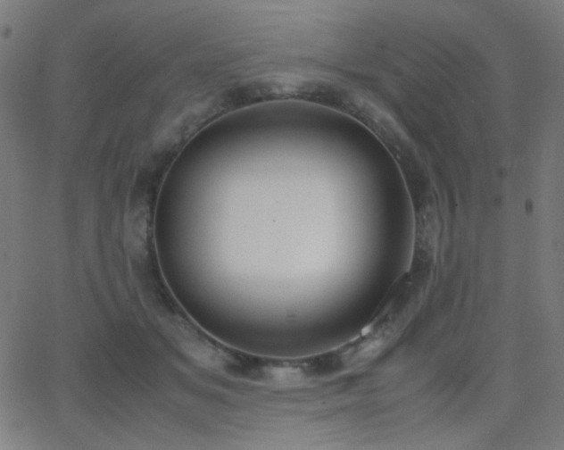 X0000062850509200601131353