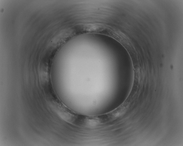 X0000062850510200601131353