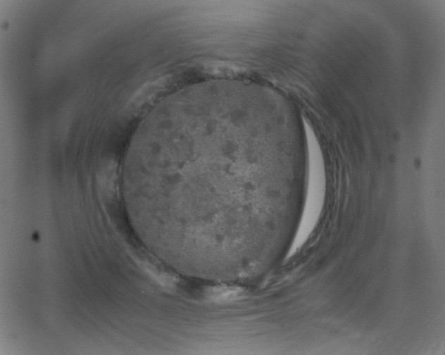 X0000062850511200601131353