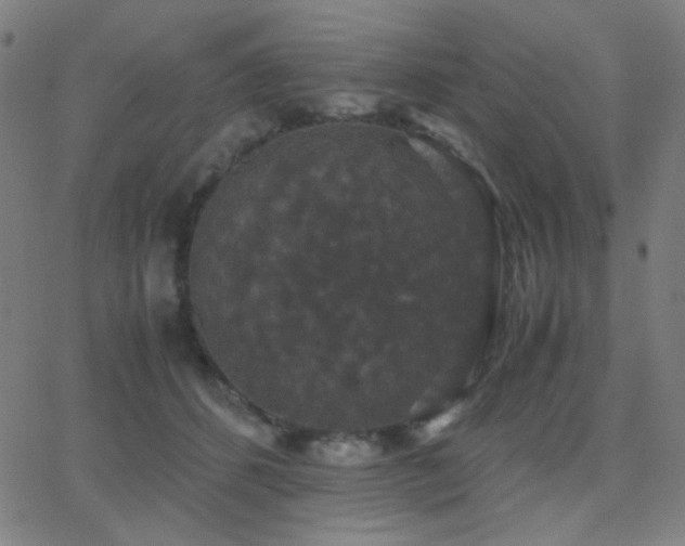 X0000062850512200601131353