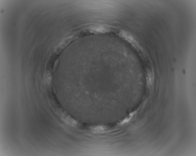 X0000062850513200601131353