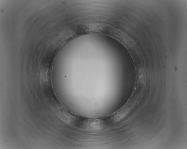 X0000062850514200601131353