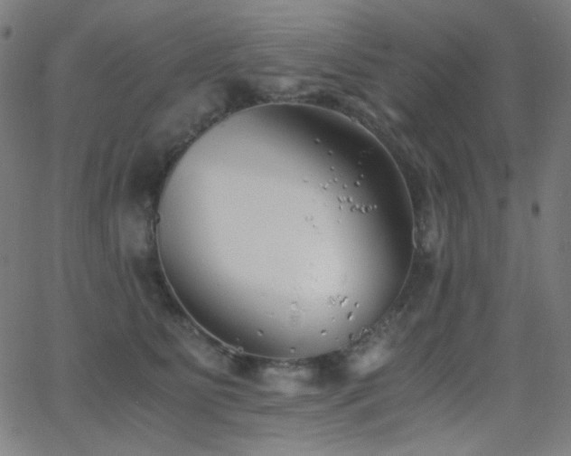 X0000062850515200601131353