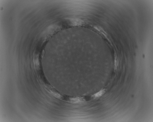 X0000062850516200601131353