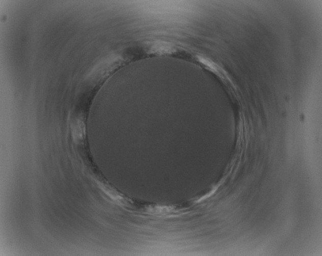 X0000062850517200601131353