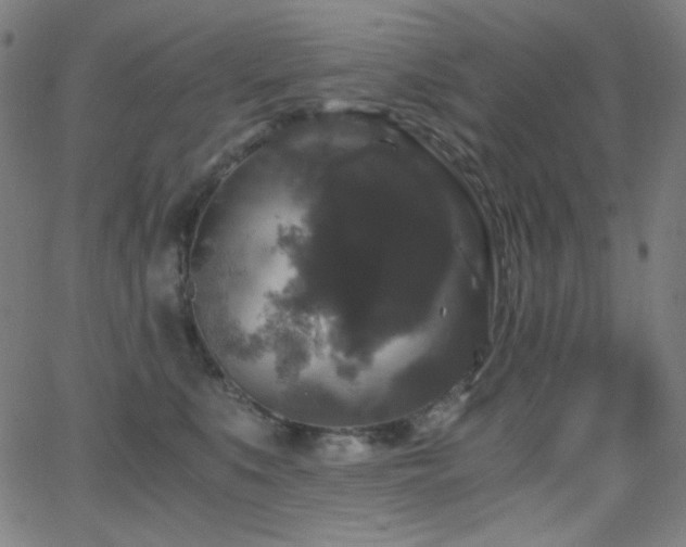 X0000062850519200601131353