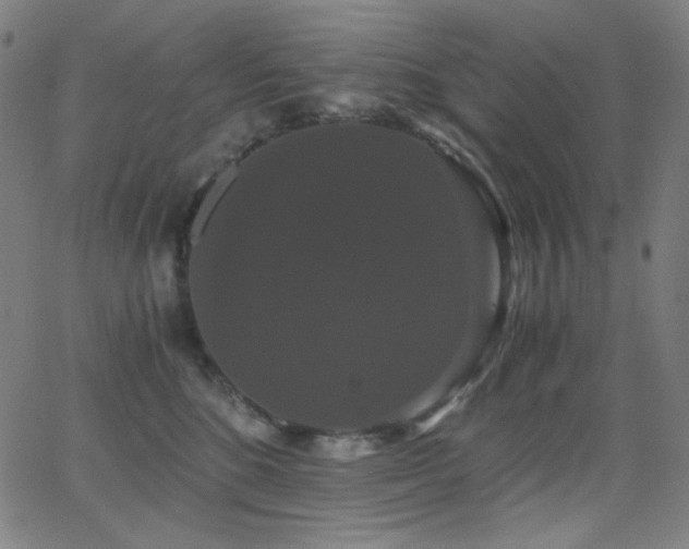 X0000062850520200601131353