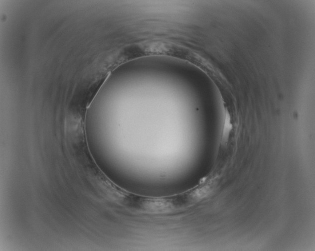 X0000062850521200601131353