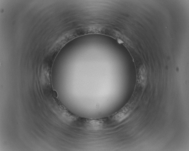 X0000062850522200601131353