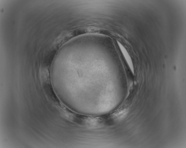 X0000062850523200601131353