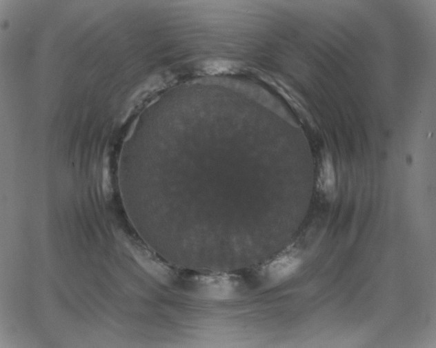 X0000062850524200601131353