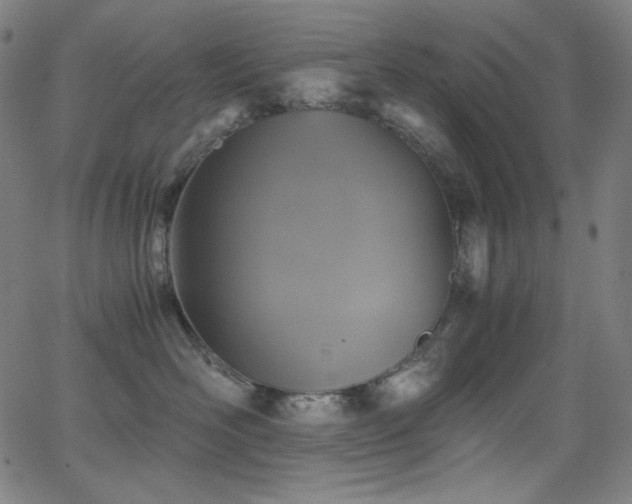 X0000062850526200601131353