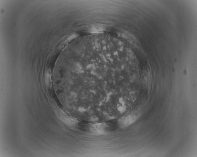 X0000062850527200601131353