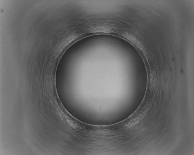 X0000062850529200601131352