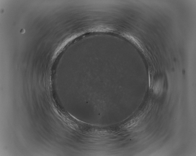 X0000062850531200601131352