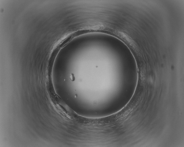 X0000062850532200601131352